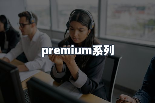 premium系列